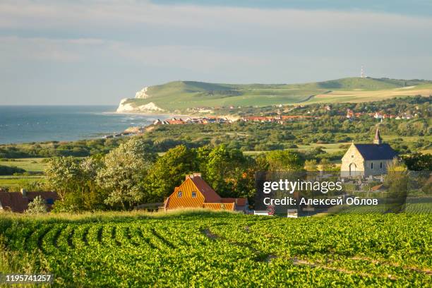 direction signs in a field near cape gray nose - normandy stock pictures, royalty-free photos & images