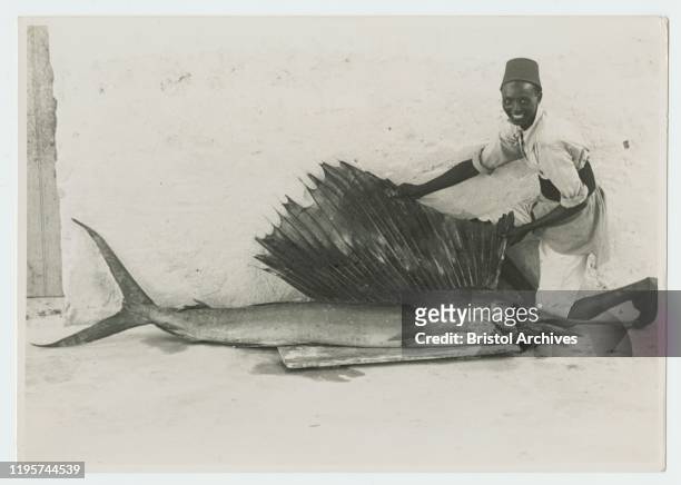Somalia, A Somali man kneels next to a large sailfish, extending its fin. , circa 1940. 2000/084/1/1/6/5/183.