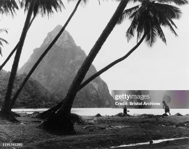 St Lucia, The Pitons, St Lucia. One of the Pitons rises up from the coastline of St Lucia, behind a beach of silhouetted palm trees. St Lucia, 1965....