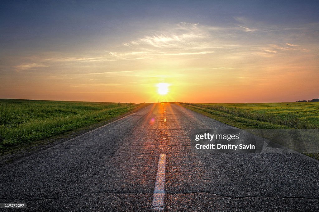 Sunlight on road
