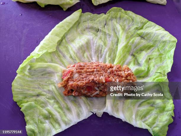 making cabbage rolls - cabbage roll stock pictures, royalty-free photos & images