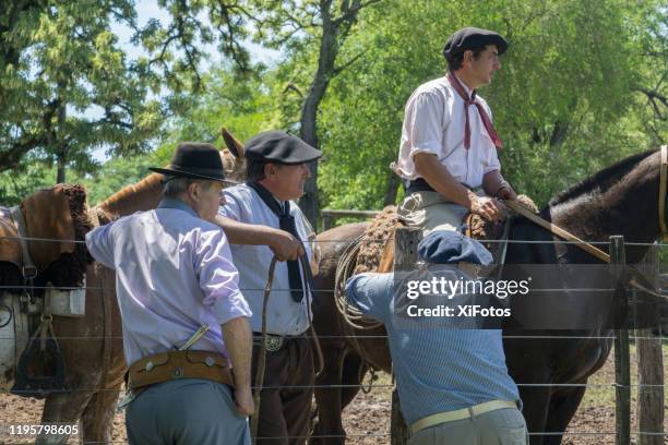 Macho Rural 41 Machos Fotos Stock Photos, High-Res Pictures, and Images - Getty Images