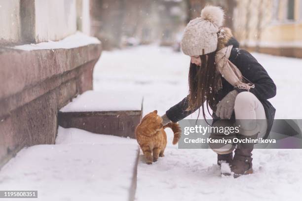 beautiful girl with in red sweater and hat holding and playing with little fluffy cat in winter snowy park. pets, comfort, christmas, winter and people concept young woman with cat standing outdoor. - cat with red hat fotografías e imágenes de stock