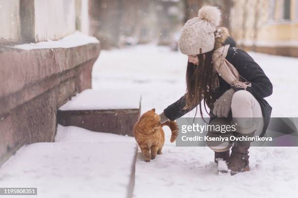 beautiful girl with in red sweater and hat holding and playing with little fluffy cat in winter snowy park. pets, comfort, christmas, winter and people concept young woman with cat standing outdoor. - cat with red hat foto e immagini stock