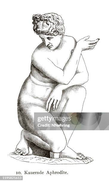 woodcut of marble statue crouching aphrodite - greek statue stock illustrations