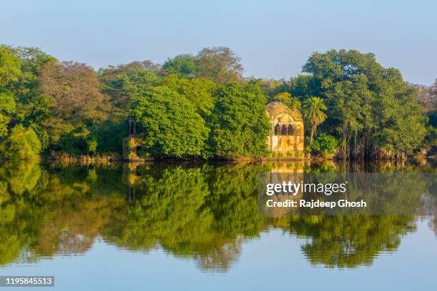 ranthambore fort ruin inside jungle - ranthambore fort stock pictures, royalty-free photos & images