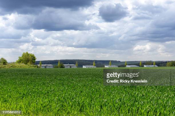 six houses on plains horizon - ricky kresslein stock-fotos und bilder