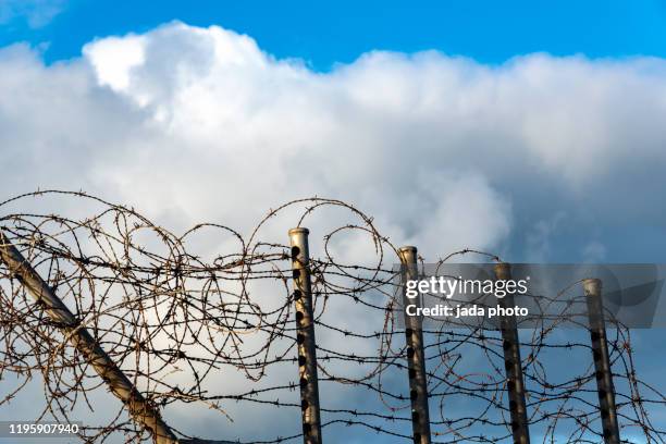 five steel tubes surrounded by barbed wire - barbed hook stock pictures, royalty-free photos & images