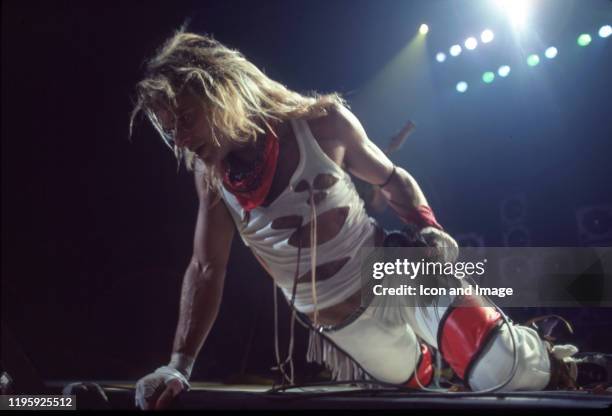 David Lee Roth In His Prime David Lee Roth 1981 Photos and Premium High Res Pictures - Getty Images