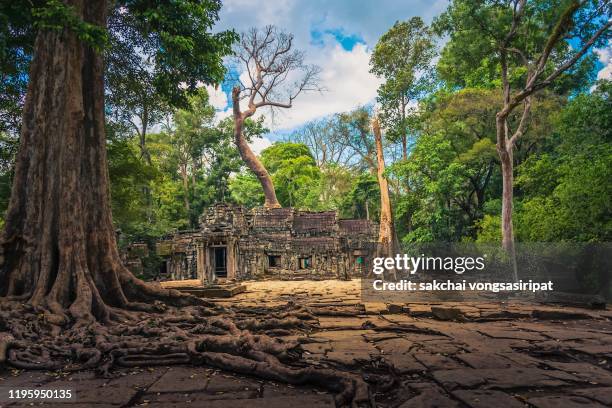 low angle view of ta prohm temple against sky in siem reap province, cambodia, asia - templo ta prohm imagens e fotografias de stock