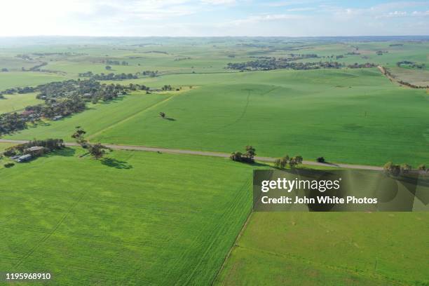 barossa valley. south australia. - barossa stock pictures, royalty-free photos & images