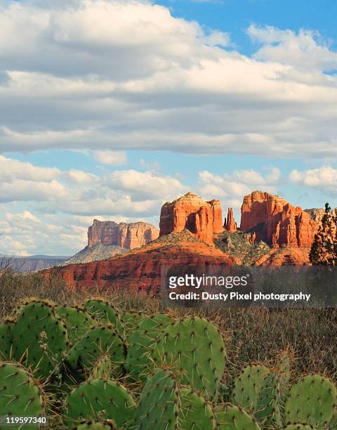 clouds over sedona - cactus landscape stock-fotos und bilder