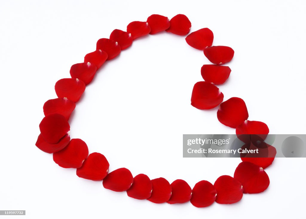 Red rose petal heart on white background.