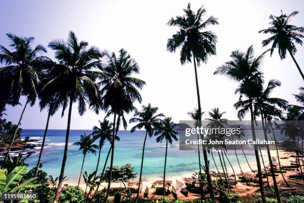 são tomé and principé, são tomé, the ilheu das rolas - são tomé e príncipe stock-fotos und bilder