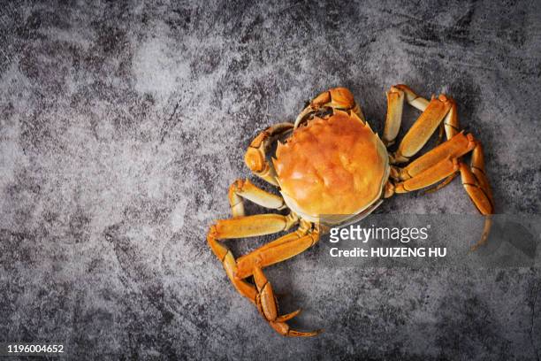 crab steamed on black, top view - crab stock pictures, royalty-free photos & images
