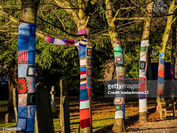 yarn bombing - knitted wool around tree - yarn bombing stock pictures, royalty-free photos & images