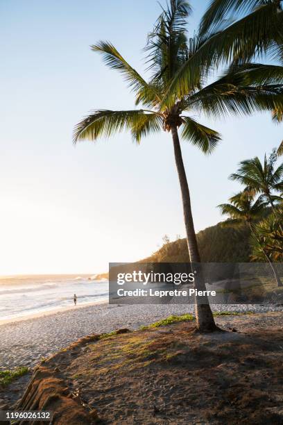 plage de grande anse au coucher de soleil - ile de la réunion - ile de la réunion bildbanksfoton och bilder