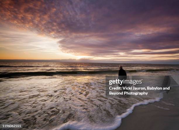 man watching sunset at fort myers beach, florida - estero stock-fotos und bilder