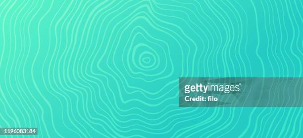 tree rings abstract pattern background - patterns in nature stock illustrations
