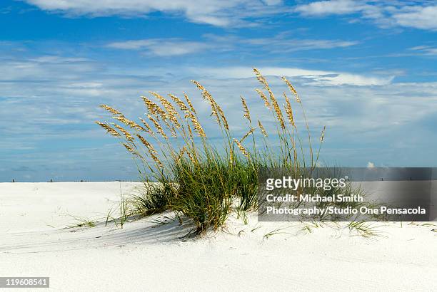 sand dune, santa rosa island - pensacola beach stock-fotos und bilder