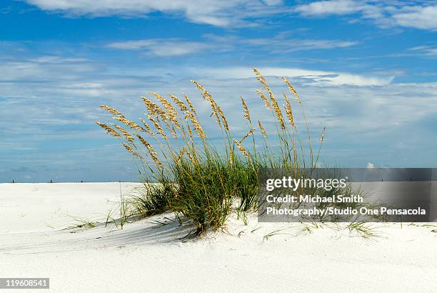sand dune, santa rosa island - pensacola beach stockfoto's en -beelden