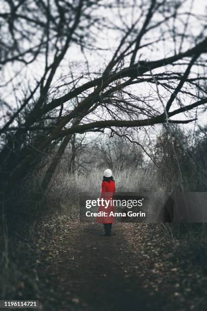 back view of woman with medium-length black hair in long red coat and white hat standing on forest path in winter, desaturated effect - medium length hair photos et images de collection