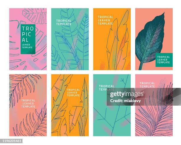 illustrations, cliparts, dessins animés et icônes de modèles de feuilles tropicales - plante tropicale