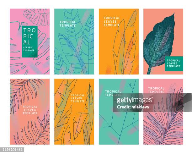 illustrazioni stock, clip art, cartoni animati e icone di tendenza di modelli di foglie tropicali - foglia