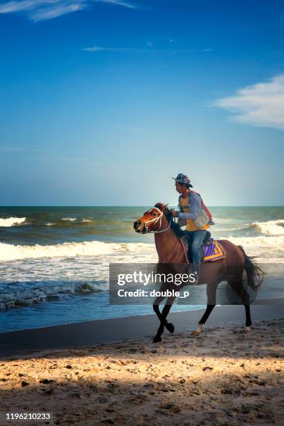 paardrijden op het strand - hua hin thailand stockfoto's en -beelden
