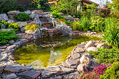 Landscape design of home garden close-up. Beautiful landscaping with small pond and waterfall.