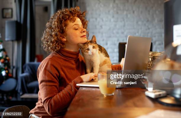 mujer joven con gato usando portátil - feline fotografías e imágenes de stock