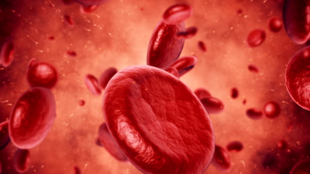 413 Anemia Videos and HD Footage - Getty Images