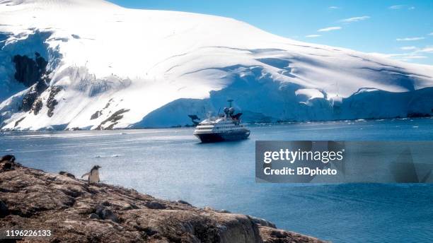 blick auf die antarktische halbinsel - packeis stock-fotos und bilder