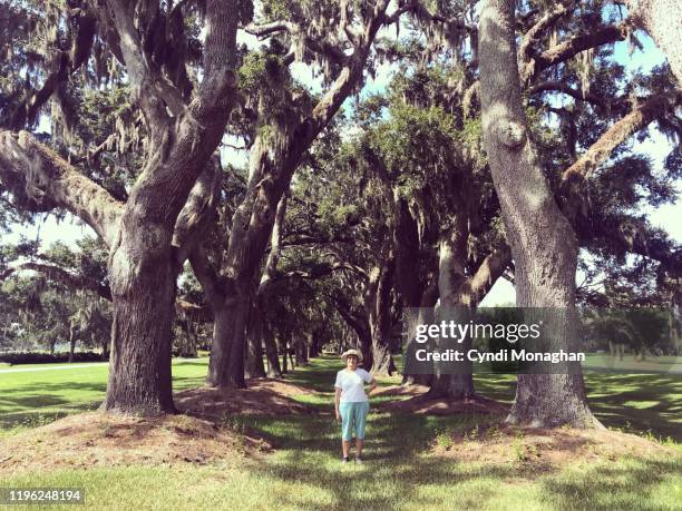 older woman standing beneath ancient oak trees in the south - saint simons island stock-fotos und bilder