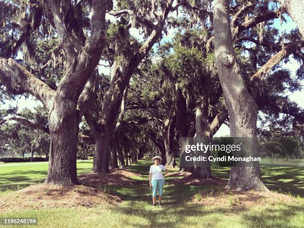 older woman standing beneath ancient oak trees in the south - st simons island stock pictures, royalty-free photos & images