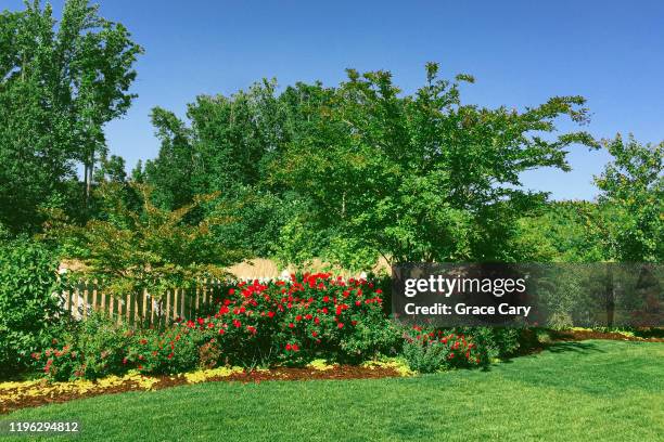 ornamental garden in backyard of suburban home - backyard lawn stock pictures, royalty-free photos & images