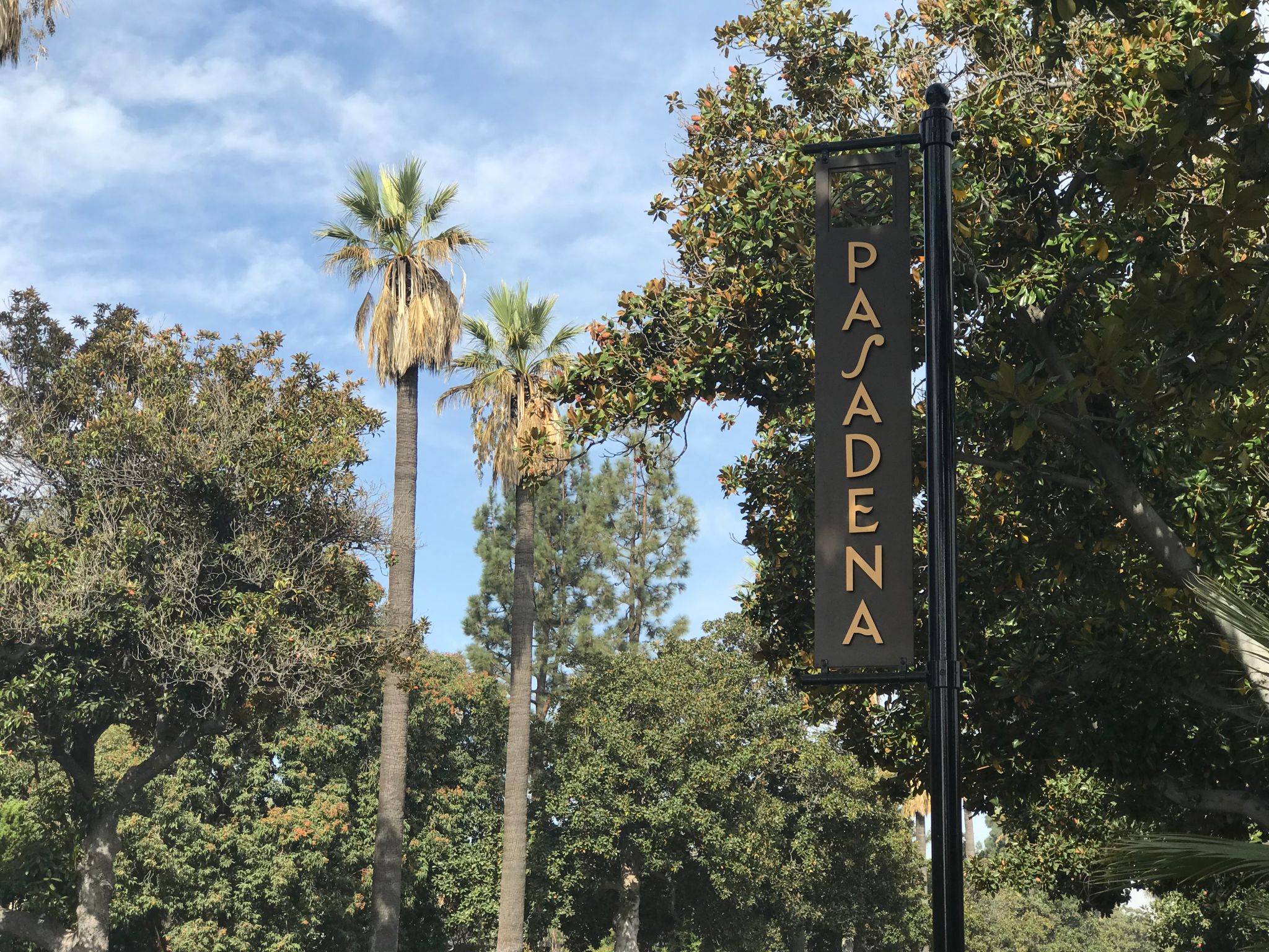 pasadena employment law