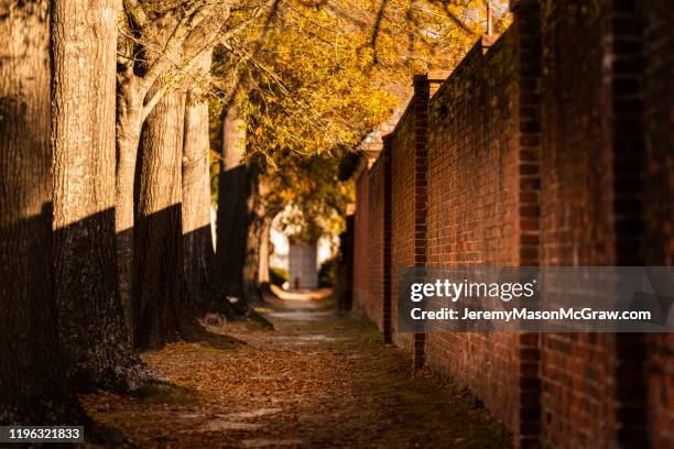 Angtryon 38 Tryon Palace Stock Photos, High-Res Pictures, and Images - Getty Images