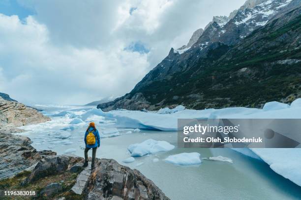 woman looking at grey glacier in torres del paine national park - glacier stock pictures, royalty-free photos & images
