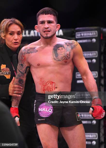 Sergio Pettis in the cage after defeating Alfred Khashakyan in their bantamweight fight at The Forum on January 25, 2020 in Inglewood, California....