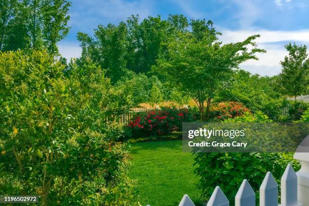 backyard ornamental garden with lush foliage - lush lawn stock pictures, royalty-free photos & images