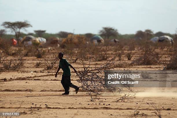 Somalian refugee boy collects firewood on the outskirts of the IFO refugee camp, which makes up part of the giant Dadaab refugee settlement on July...