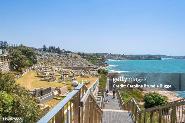 coogee nach bondi beach, sydney, australien - coogee stock-fotos und bilder