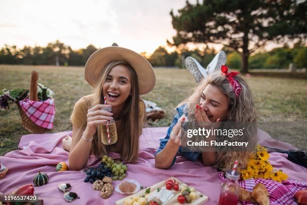 altijd met een glimlach op ons gezicht - picknick stockfoto's en -beelden