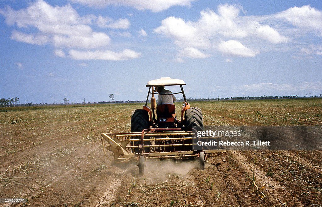 Man driving tractor in field