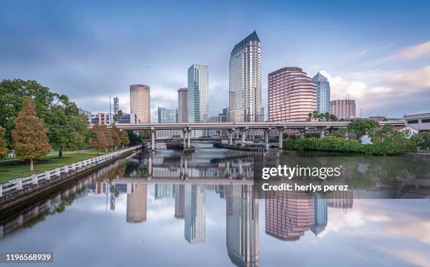 tampa - tampa stock pictures, royalty-free photos & images