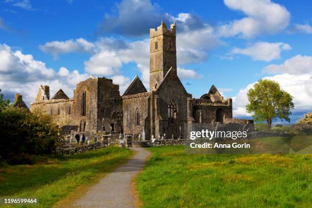 pathway leading to ruins of 15th-century quin abbey on spring afternoon, county clare, ireland.  the abbey is free and open to the public. - ireland castle stock pictures, royalty-free photos & images