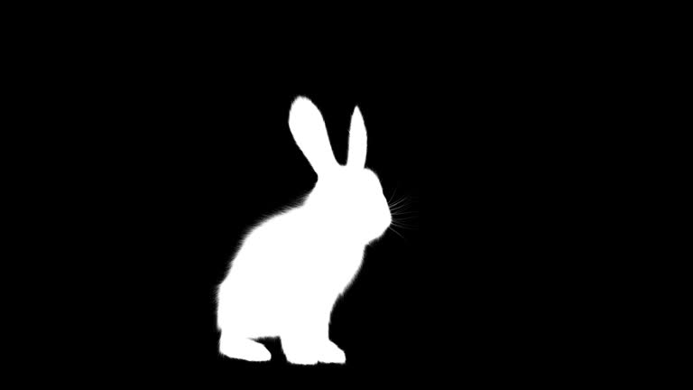 Back View Rabbit Running White Rabbit Running Videos and HD Footage - Getty Images