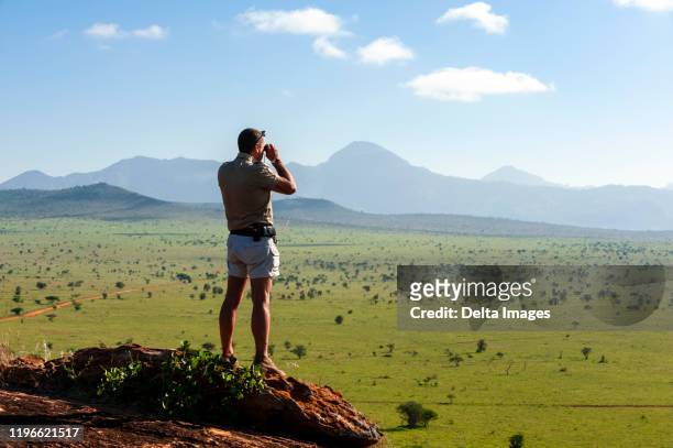 ranger looking out from hilltop, lualenyi game reserve, near tsavo east national park, kenya - parkwachter stockfoto's en -beelden