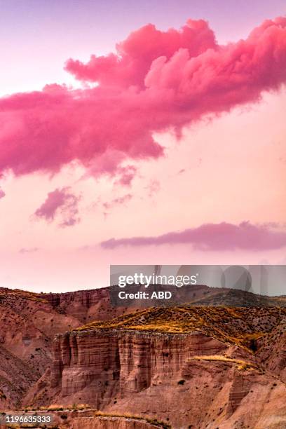 algodón rosa - granada spanje stockfoto's en -beelden